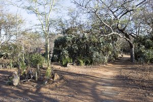 im Garten der Masorini Bush Lodge