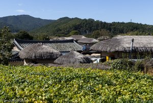 Das Bauerndorf Hahoe in Südkorea