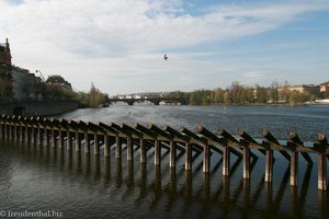 Moldau in Prag