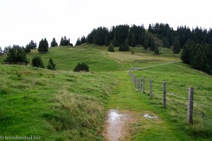 Wanderweg von Scheidegg nach Gätterli