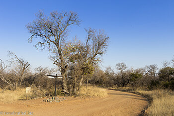 Piste im Game Reserve Shona Langa