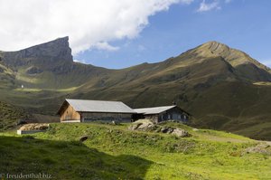 Die Obere Wandelalp im Wandelalpkessel des Chaltenbrunnen-Moors