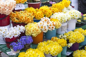 Blumenmarkt beim Zentralmarkt von Riga