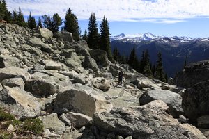 alpiner Trail über den Blackcomb