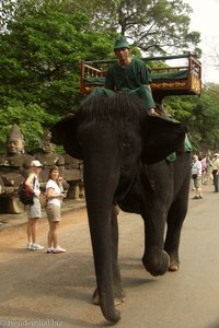Ein schwarzer Elefant bei Angkor Thom