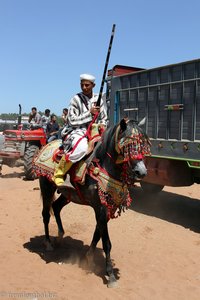 Reiter auf einem Berber-Rassepferd bei Fantasia in Marokko