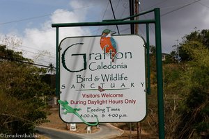 Grafton Caledonia Bird & Wildlife Sanctuary