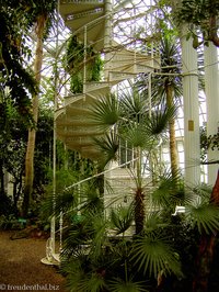 Wendeltreppe im Palmenhaus