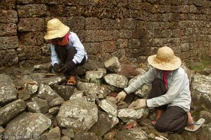 Arbeiter im Ta Prohm entfernen Keimlinge zwischen den Steinen.