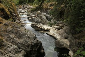 beim unteren Wasserfall - Qualicum Falls