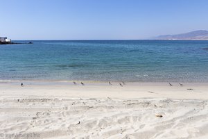 der Indische Ozean vor dem Fort von Mirbat im Oman