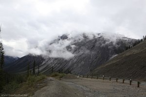 Icefield Highway zwischen Jasper und Banff