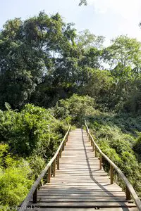 sanierte Brücke in Wellenform auf Don Khon