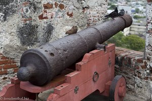 Kanone mit Tauben beim Castillo San Felipe von Cartagena