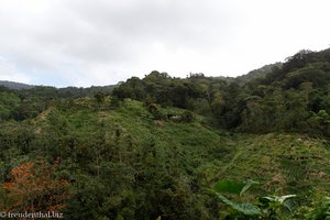 Fahrt in den Norden von Trinidad