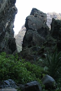 einer der Felsrücken, die sich in die Schlucht schieben