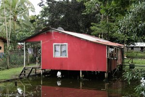 Haus auf Stelzen in Tortuguero Village