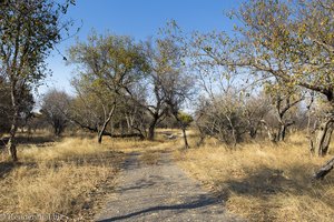 Wege im Game Reserve Shona Langa im Bushveld