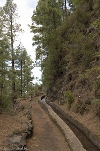 Entlang einer Levada nach Los Tilos