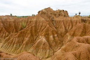 Im Labyrinth der Steinformationen der Tatacoa-Wüste