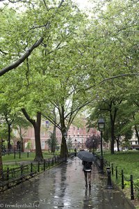 trübes Wetter im Washington Square Park