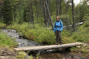 Annette irgendwo zwischen Moose Lake und Maligne Lake