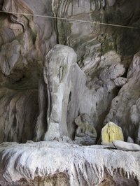 Elefant in der Tham Xang, der Elefantenhöhle bei Vang Vieng