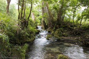 Wasserfallsteig Bad Urach, entlang dem Brühlbach