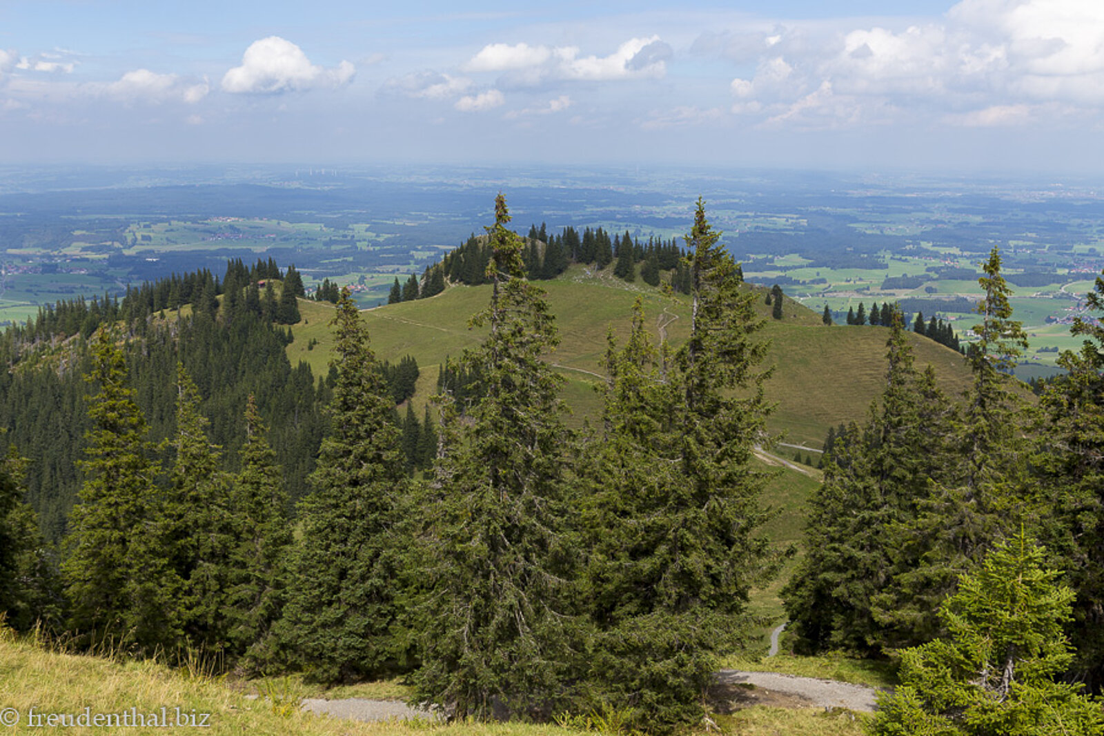 Aussicht vom Edelsberg über den Wald und Wiesen zur Nesselwanger Alpspitz
