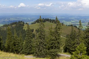 Blick vom Edelsberg zur Nesselwanger Alpspitz