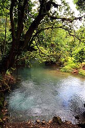 Borbollones - Blubberblasen im Río Celeste