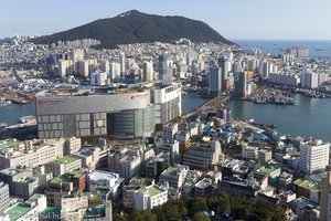 Sonnige Aussichten auf den Hafen von Busan