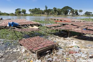 Müllhalden und Trockenfisch in Myanmar