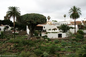 Blick über den Park des Drago Milenario