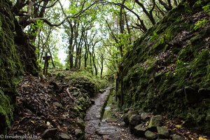 auf dem Weg zum Caldeirão Verde