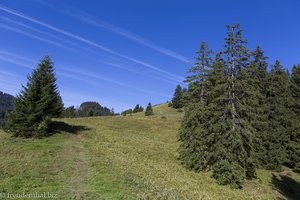 Weg zur Kappeler Alp