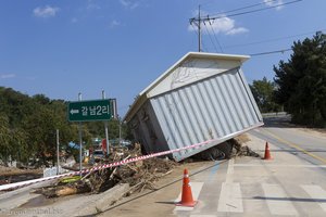 Taifun Mitag drückt das Haus über die Straße