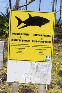 Haifischwarnung auf La Réunion