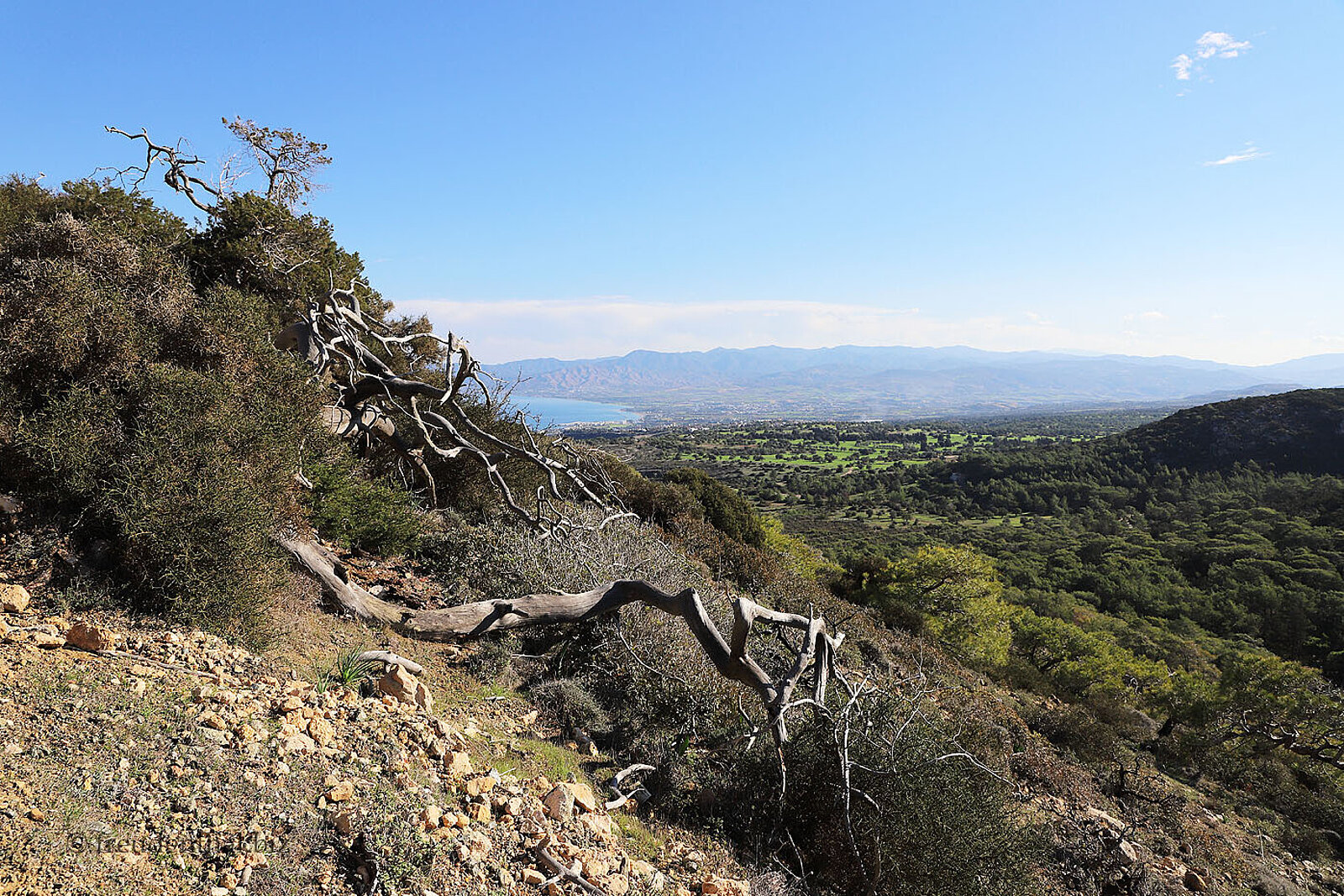 Aussicht vom Smiegis Trail über das bewaldete Bergland im Westen Zyperns
