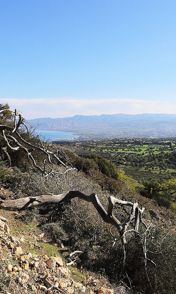 Aussicht Smiegis Trail