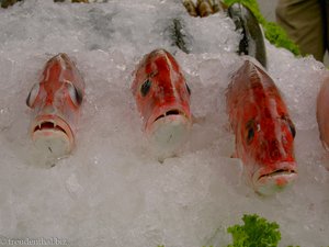 Fisch auf dem Nachtmarkt von Hua Hin