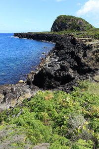 Lavaküste an der Ponta da Ilha