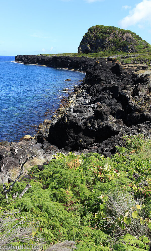 Lavaküste an der Ponta da Ilha