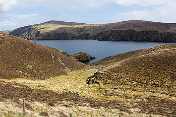 beim National Nature Reserve von Hermaness auf Unst - Shetland