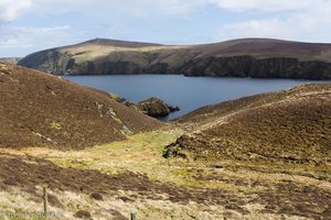 beim National Nature Reserve von Hermaness auf Unst - Shetland