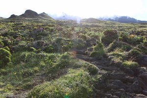 Vulkanlandschaft am Pico