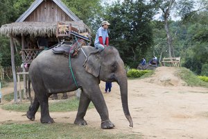 Auf dem Weg zum Elefantenreiten im Elephant Village