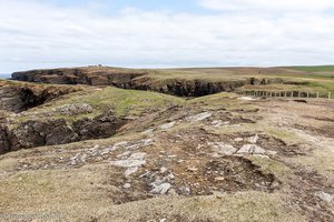 bei den Steilklippen von Yesnaby auf Orkney