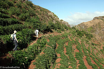 Wanderung ins Gongon-Tal