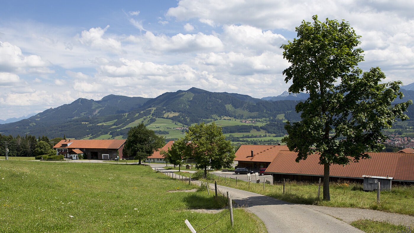 Aussicht von der Ellegghöhe Richtung Jungholz